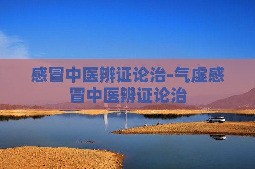 感冒中医辨证论治-气虚感冒中医辨证论治
