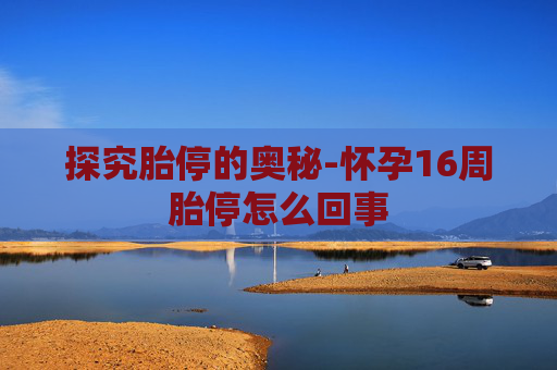 探究胎停的奥秘-怀孕16周胎停怎么回事