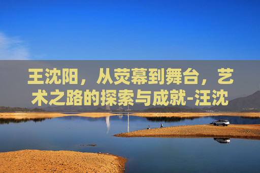 王沈阳，从荧幕到舞台，艺术之路的探索与成就-汪沈阳书法个人简介