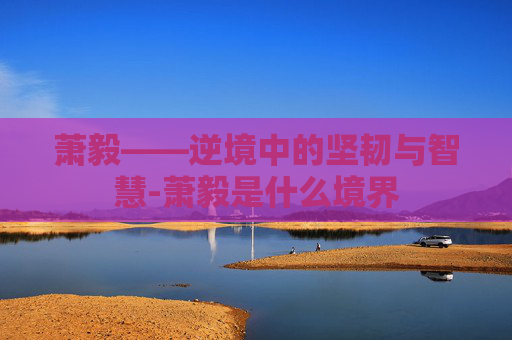 萧毅——逆境中的坚韧与智慧-萧毅是什么境界 萧毅——逆境中的坚韧与智慧-萧毅是什么境界