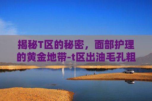 揭秘T区的秘密，面部护理的黄金地带-t区出油毛孔粗大怎么改善