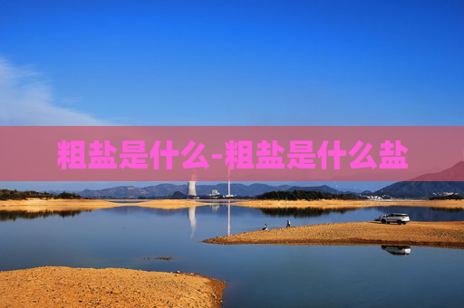 粗盐是什么-粗盐是什么盐
