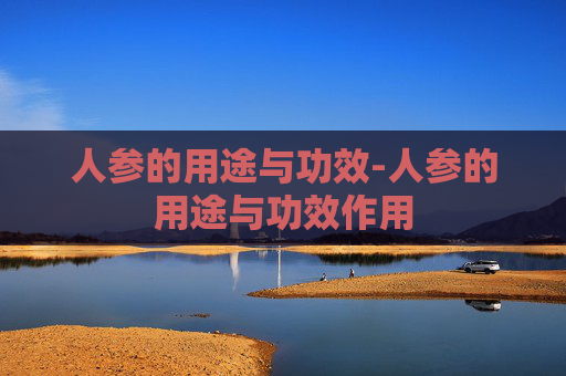 人参的用途与功效-人参的用途与功效作用