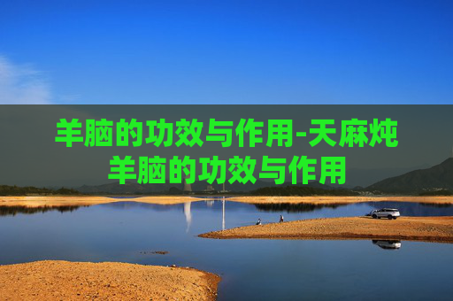 羊脑的功效与作用-天麻炖羊脑的功效与作用