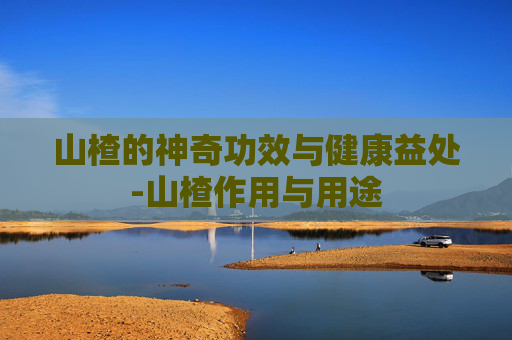 山楂的神奇功效与健康益处-山楂作用与用途