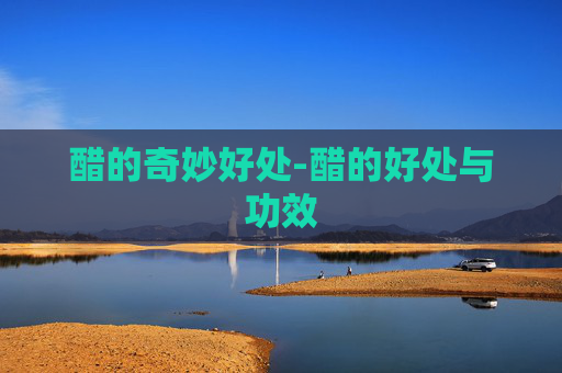 醋的奇妙好处-醋的好处与功效