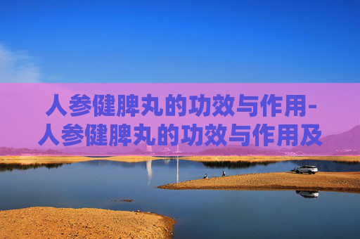 人参健脾丸的功效与作用-人参健脾丸的功效与作用及禁忌