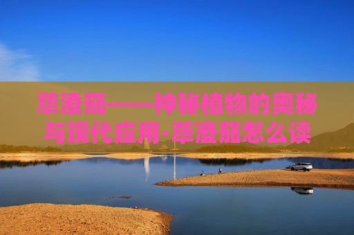 荜澄茄——神秘植物的奥秘与现代应用-荜澄茄怎么读