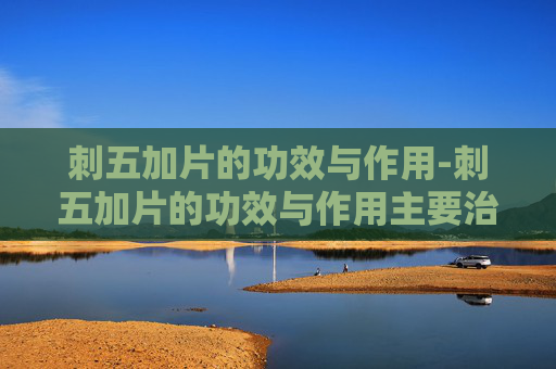 刺五加片的功效与作用-刺五加片的功效与作用主要治什么病
