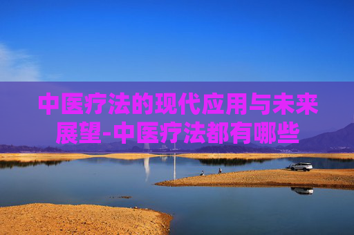 中医疗法的现代应用与未来展望-中医疗法都有哪些
