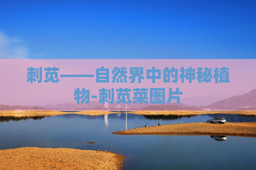 刺苋——自然界中的神秘植物-刺苋菜图片