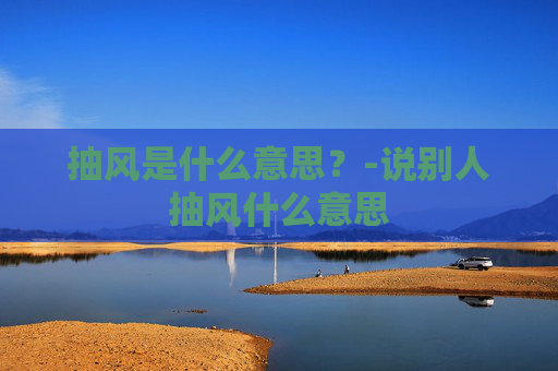 抽风是什么意思？-说别人抽风什么意思