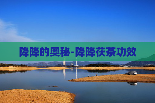 降降的奥秘-降降茯茶功效