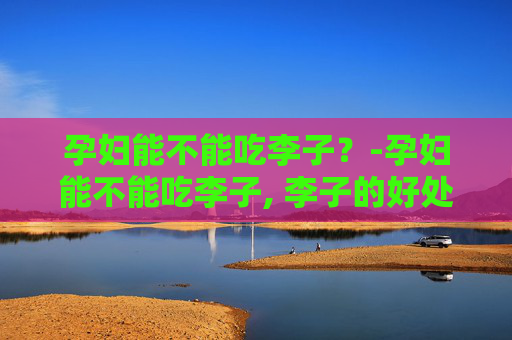孕妇能不能吃李子？-孕妇能不能吃李子, 李子的好处