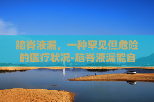 脑脊液漏，一种罕见但危险的医疗状况-脑脊液漏能自我修复吗