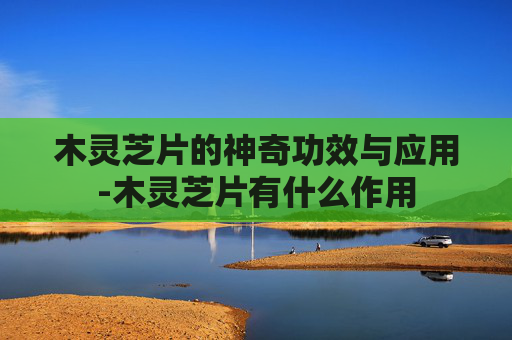 木灵芝片的神奇功效与应用-木灵芝片有什么作用 木灵芝片的神奇功效与应用-木灵芝片有什么作用