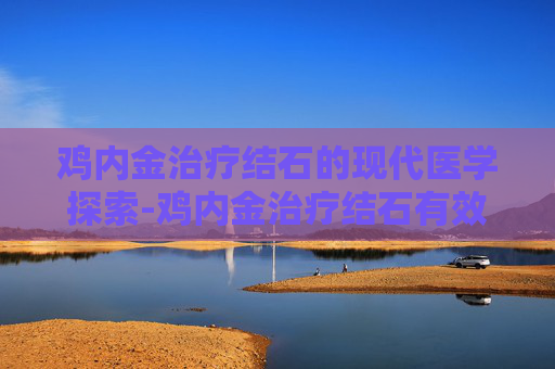 鸡内金治疗结石的现代医学探索-鸡内金治疗结石有效果吗