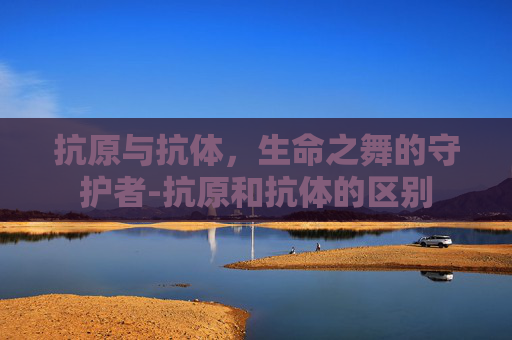 抗原与抗体，生命之舞的守护者-抗原和抗体的区别