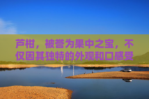 芦柑，被誉为果中之宝，不仅因其独特的外观和口感受到人们的喜爱，更因为它丰富的营养价值和多种健康功效而备受推崇。本文将深入探讨芦柑的功效与作用，帮助您更好地了解这种美味又健康的水果。-桔梗的功效与作用