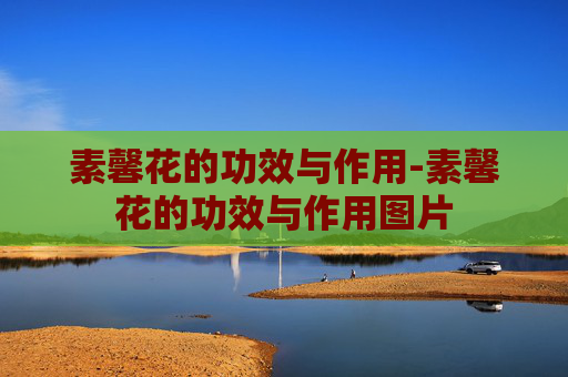 素馨花的功效与作用-素馨花的功效与作用图片