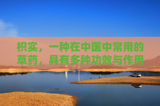 枳实，一种在中医中常用的草药，具有多种功效与作用。它不仅能够促进消化，还能调节身体机能，增强免疫力。本文将详细介绍枳实的功效与作用，帮助读者更好地了解这种草药的价值。-枳实的功效与作用是什么
