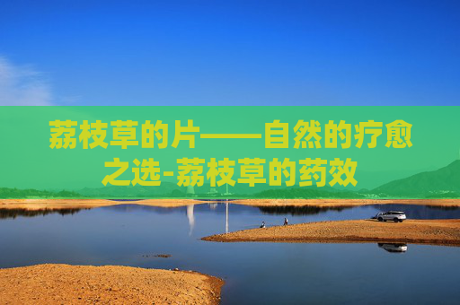 荔枝草的片——自然的疗愈之选-荔枝草的药效