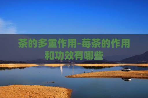茶的多重作用-莓茶的作用和功效有哪些