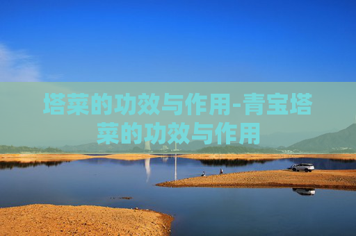 塔菜的功效与作用-青宝塔菜的功效与作用