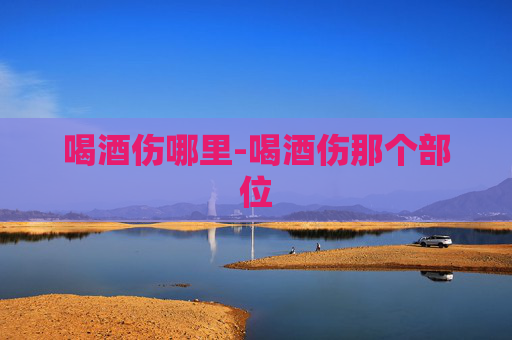 喝酒伤哪里-喝酒伤那个部位