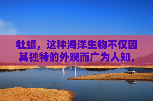 牡蛎，这种海洋生物不仅因其独特的外观而广为人知，更因其丰富的营养价值和多样的健康功效而备受推崇。在这篇文章中，我们将深入探讨牡蛎的多种功效与作用，帮助您更好地了解这一海洋宝藏。-牡蛎的功效与作用与主治