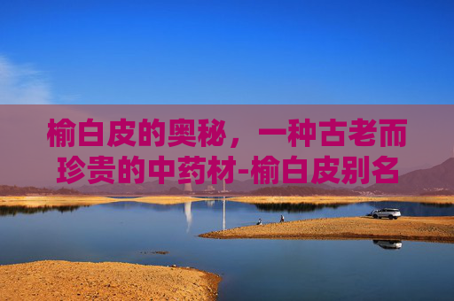 榆白皮的奥秘，一种古老而珍贵的中药材-榆白皮别名叫什么