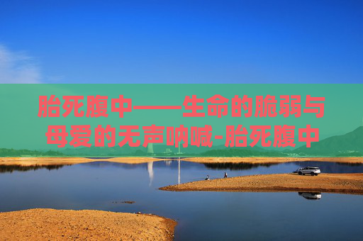 胎死腹中——生命的脆弱与母爱的无声呐喊-胎死腹中孕妇有什么症状