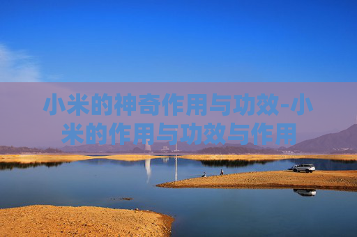 小米的神奇作用与功效-小米的作用与功效与作用