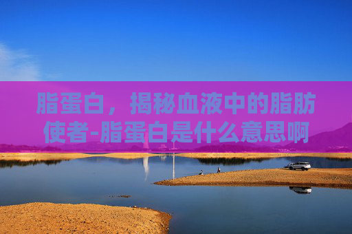 脂蛋白，揭秘血液中的脂肪使者-脂蛋白是什么意思啊