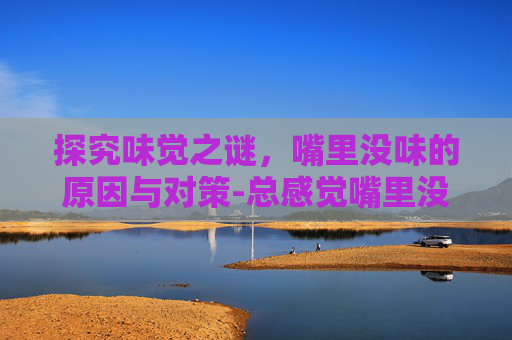 探究味觉之谜，嘴里没味的原因与对策-总感觉嘴里没味是什么原因