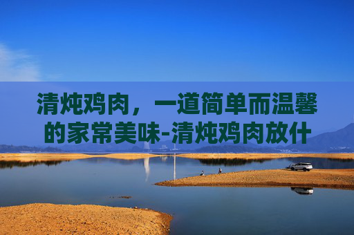 清炖鸡肉，一道简单而温馨的家常美味-清炖鸡肉放什么调料