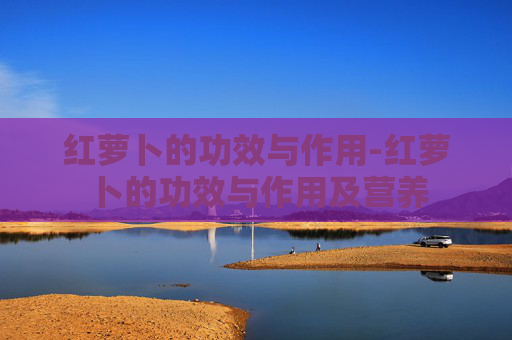 红萝卜的功效与作用-红萝卜的功效与作用及营养