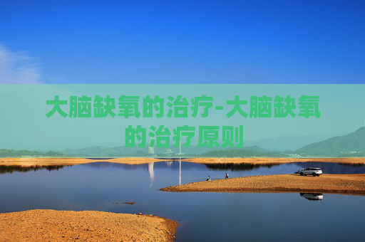 大脑缺氧的治疗-大脑缺氧的治疗原则