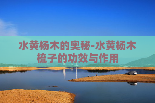 水黄杨木的奥秘-水黄杨木梳子的功效与作用