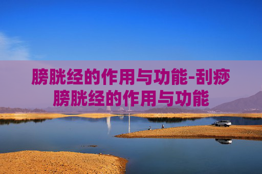 膀胱经的作用与功能-刮痧膀胱经的作用与功能