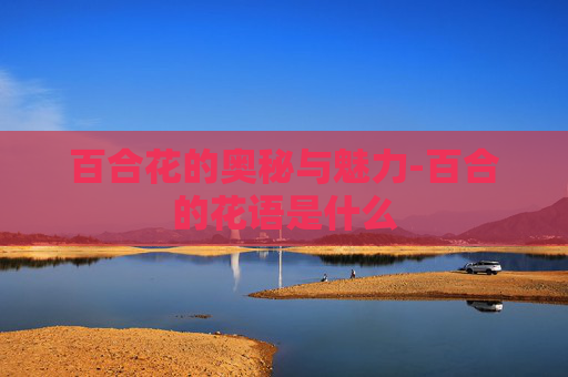百合花的奥秘与魅力-百合的花语是什么