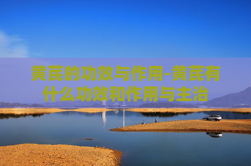 黄芪的功效与作用-黄芪有什么功效和作用与主治