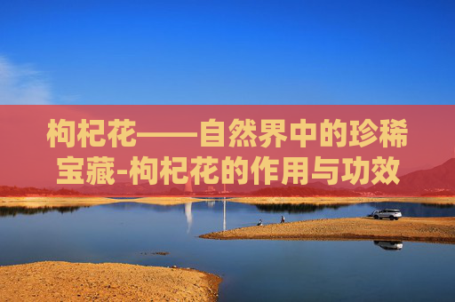 枸杞花——自然界中的珍稀宝藏-枸杞花的作用与功效