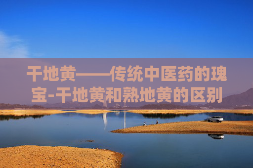 干地黄——传统中医药的瑰宝-干地黄和熟地黄的区别
