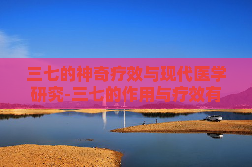 三七的神奇疗效与现代医学研究-三七的作用与疗效有哪些