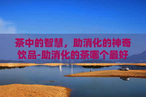 茶中的智慧，助消化的神奇饮品-助消化的茶哪个最好