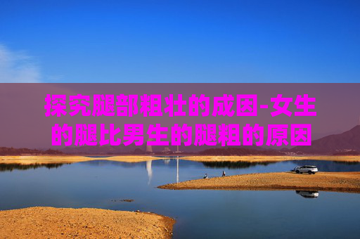 探究腿部粗壮的成因-女生的腿比男生的腿粗的原因