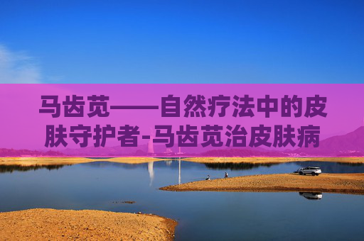 马齿苋——自然疗法中的皮肤守护者-马齿苋治皮肤病吗有效果吗