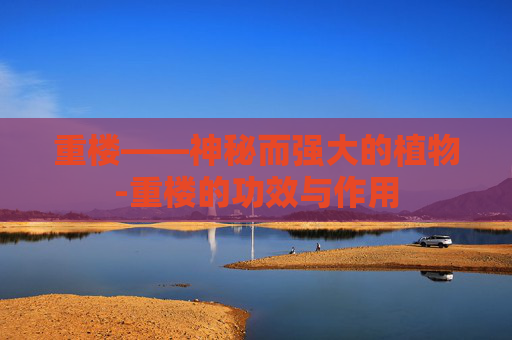 重楼——神秘而强大的植物-重楼的功效与作用