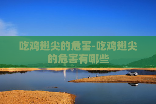 吃鸡翅尖的危害-吃鸡翅尖的危害有哪些